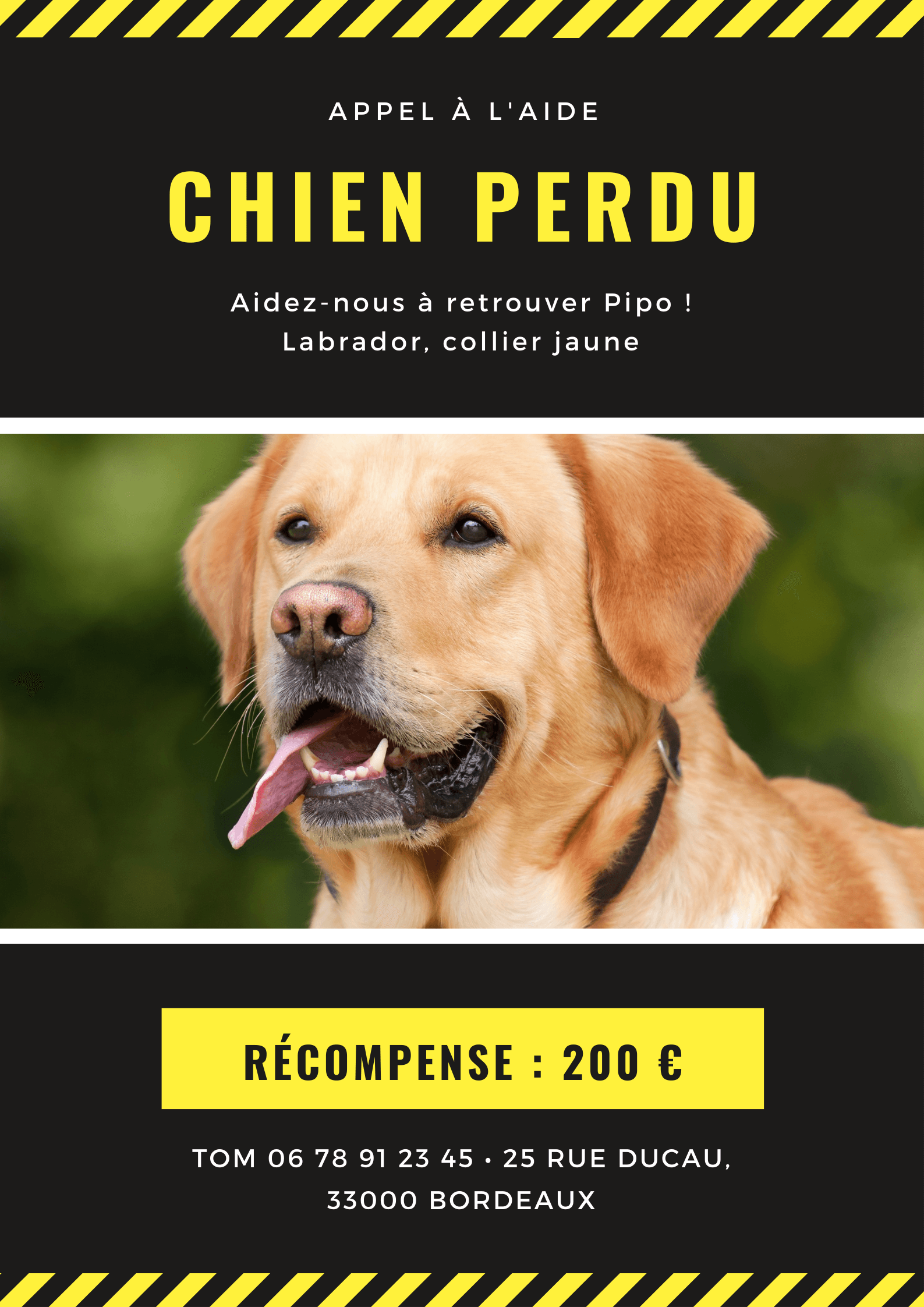 Avis de recherche